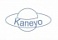 Kaneyo
