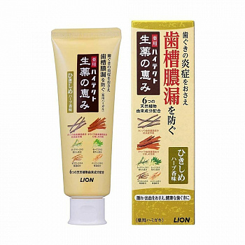 Lion Зубная паста "Hitect Seiyaku" для профилактики болезней десен и кариеса с ароматом лечебных трав 90 г