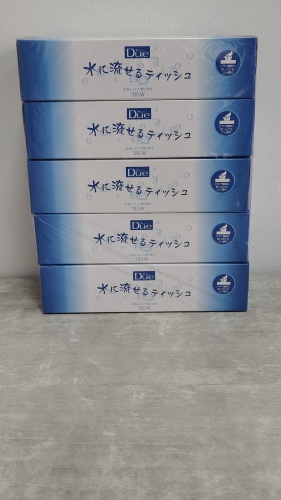 Ideshigyo Премиальные двухслойные мягкие бумажные салфетки "Due" (водорастворимые / произведены на воде с горы Фудзи), 180 шт. х 5 пачек